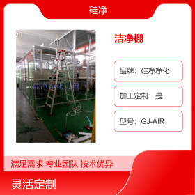 合肥洁净棚&安庆洁净棚&宣城洁净棚&硅净供应