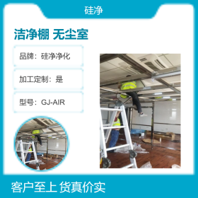 合肥洁净棚&万级无尘室&硅净净化供应&厂家直销价格合理