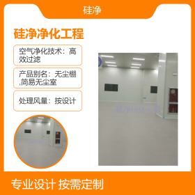 宣城500平米净化车间 硅净供应 万级洁净等级