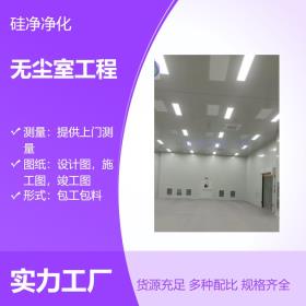 合肥无尘室/合肥洁净棚 万级洁净车间硅净净化供应